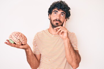 Handsome young man with curly hair and bear holding brain as mental health concept serious face...