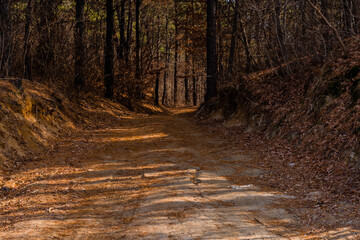 Dirt road through mountainside