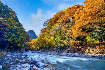 【東京都 奥多摩】駅近の渓谷から見える紅葉