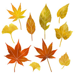秋の紅葉の葉っぱのイラスト素材（薄め線なし）