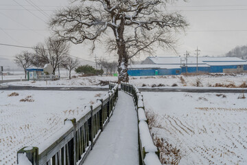 Wooden walkway after snow storm.