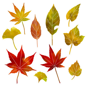58 Best 手書き素材 Images Stock Photos Vectors Adobe Stock