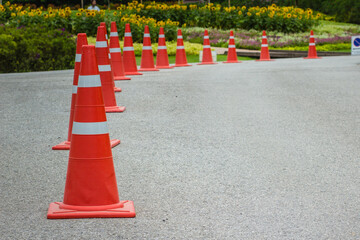 Row of red traffic cones on the asphalt road.