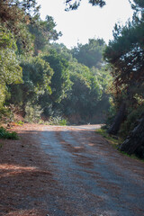 Parkway