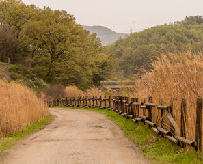 Country road with wood rail fence