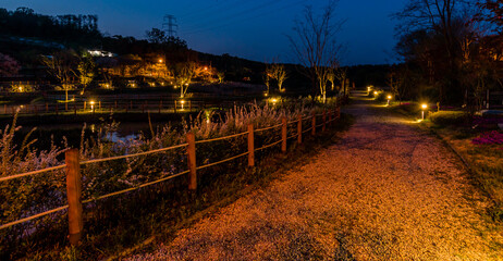 Night landscape of country park
