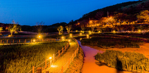 Night landscape of country park