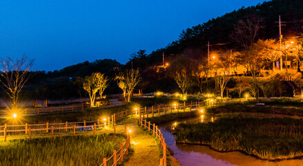Fototapeta na wymiar Night landscape of country park