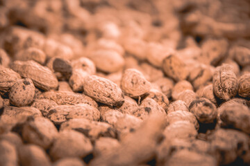 close up of nuts