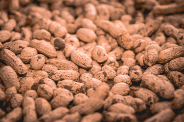 close up of nuts and seeds