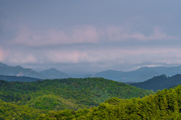 Landscape of forested mountain region with clouds over mountains