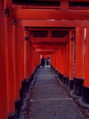 Fototapeta premium kyoto_fushimi