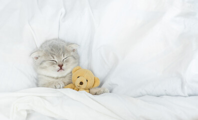 Cute kitten sleeps under blanket on a bed at home and hugs favorite toy bear. Top down view. Empty...