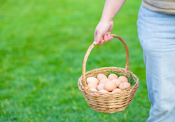 Fototapeta na wymiar Farmer holding basket of chicken eggs. Empty space for text