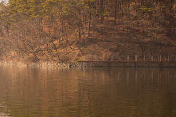 Landscape of a lake and woodland