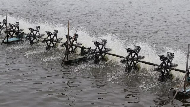 Water turbine spinning for water increasing oxygen in the shrimp farm