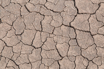 background of cracked dry soil closeup.