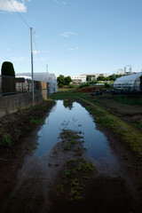 Fototapeta premium 水溜りに映る青空