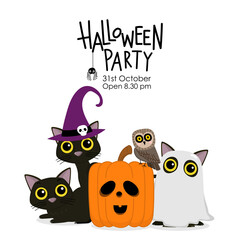Happy Halloween party invitation card with cute black cat and spooky pumpkin wear witch hat. Animal holidays cartoon character. -Vector.