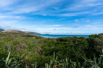 Naklejka na ściany i meble View of Kapiti Island in New Zealand from a coastal walkway