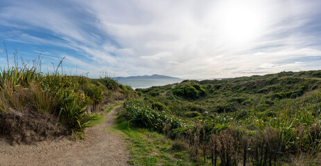 View of Kapiti Island in New Zealand from a coastal walkway