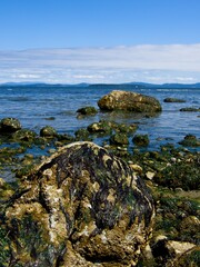Rocky shore of Island View Beach at the low tide, Vancouver Island, BC Canada