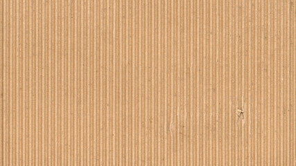 Corrugated cardboard texture. Blank empty cardboard with a single torn hole. Recycled material background.