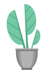 Houseplant in a pot. Isolated on a white background. Flat design. Vector illustration.