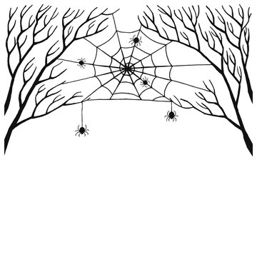 Web stretched between branches. Scary spider web with spooky spider, isolated on white background. Hand drawn illustration. Halloween decor, net texture tattoo design vector template.