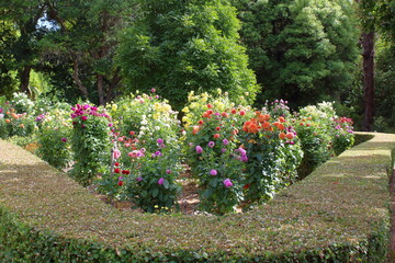 flowers in adelaide botanic garden
