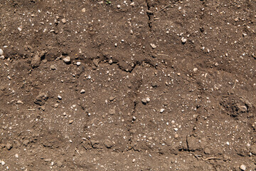 Dried cracked earth soil ground texture background. 