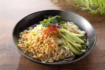 冷やしたぬきうどん