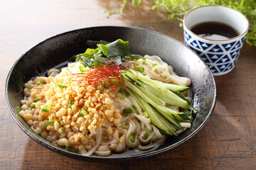 冷やしたぬきうどん