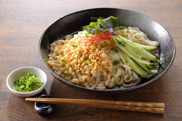 冷やしたぬきうどん