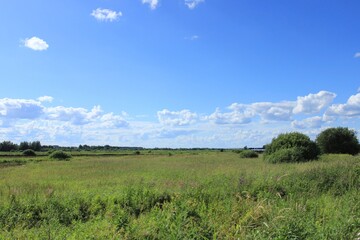 View of a large field. Russia.