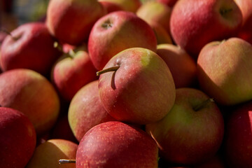 Äpfel