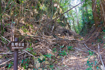 Okuji-Toge Pass on Kumano Kodo (Nakahechi Route) in Nachikatsuura, Wakayama, Japan. It is part of the UNESCO World Heritage Site.
