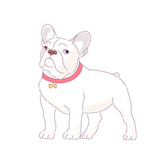 Obraz na płótnie Canvas A dog with a kind look. Cute French bulldog made in a flat style. Vector illustration of animals.