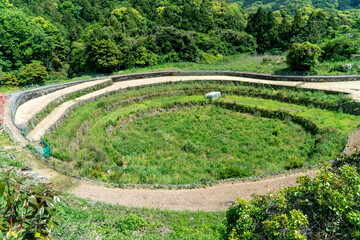 円形の段々畑　長崎市の風景