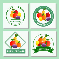 Vector collection of fresh stylized fruits and berries. Set with a logo icon.
