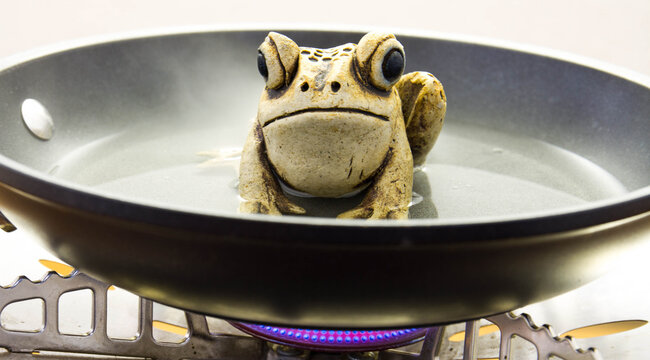 Ceramic frogs boiling in a frying pan on a stove - conceptual image in horizontal format