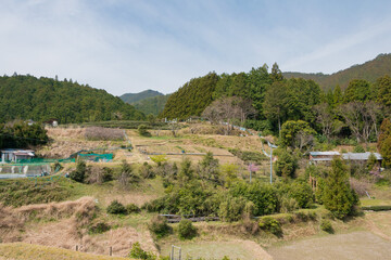 Fototapeta na wymiar Between Hosshinmon-oji and Mizunomi-oji on Kumano Kodo (Nakahechi Route) in Tanabe, Wakayama, Japan. It is part of the UNESCO World Heritage Site.