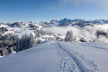 Fototapeta na wymiar Winter hiking trail on Rotenflue in the canton of Schwyz, central Switzerland