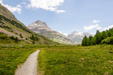 Val Bernina, Berninatal, Ova da Bernina, Bergbach, Wanderweg, Oberengadin, Piz Lagalp, Piz Albris, Bergbahn, Berninapass, Bergstrasse, Alpen, Sommer, Graubünden, Schweiz