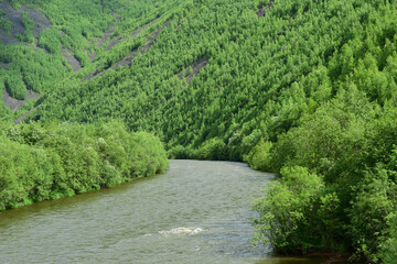River among green hills. The slopes of the mountains with green forest and rocks. The Sikhote-Alin...