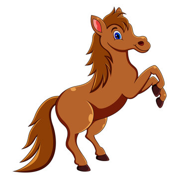 recommend clip art: Cute horse cartoon jumping on white background