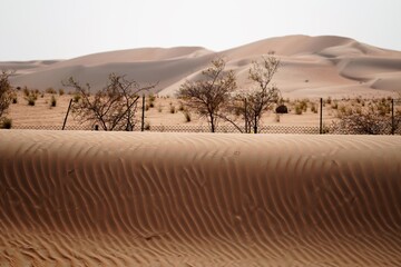 sand dunes in the liwa desert