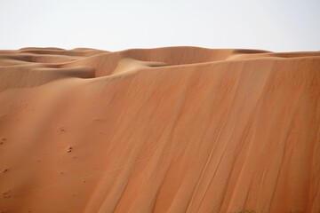 sand dunes in the desert