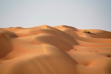 sandy waves in the desert