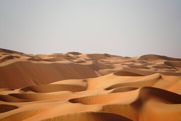Fototapeta na wymiar sunny desert sand dunes